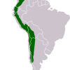 los_andes_transp
